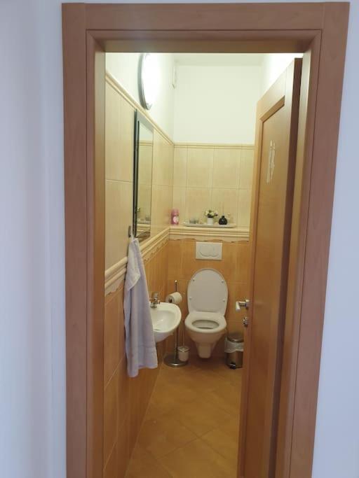 Mezonetovy Apartman V Centre Novej Dubnice Ilava Eksteriør billede